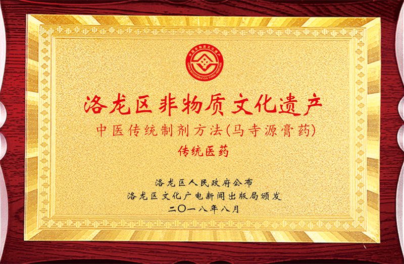洛龙区非物质文化遗产